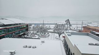 염봉섭님의 기타작물 · 영농일지 작성글 사진