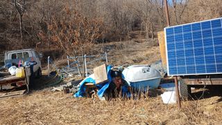 골탄님의 기타작물 · 영농일지 작성글 사진