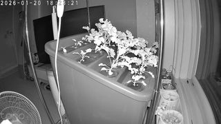 정종배님의 기타작물 · 영농일지 작성글 사진