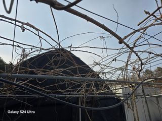 김종협님의 기타작물 · 영농일지 작성글 사진