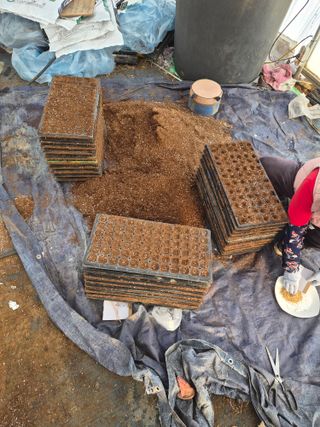 남기탁 님의 고추 · 영농일지 작성글 사진