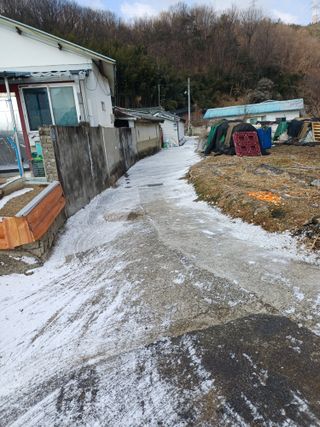 전원수님의 기타작물 · 영농일지 작성글 사진