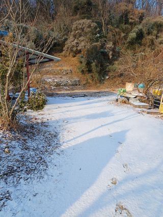 전원수님의 기타작물 · 영농일지 작성글 사진