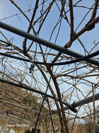 김종협님의 기타작물 · 영농일지 작성글 사진