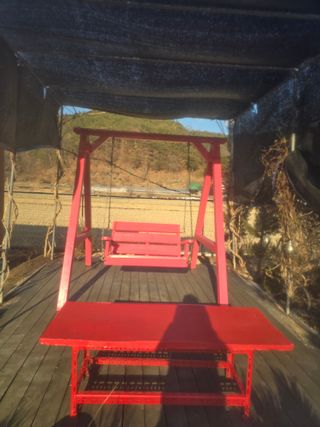 김영순님의 기타작물 · 영농일지 작성글 사진