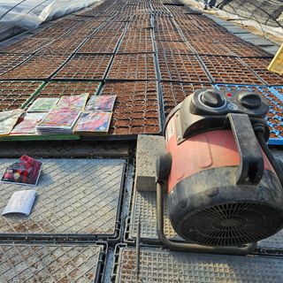 곽희동님의 고추 · 영농일지 작성글 사진