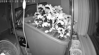 정종배님의 기타작물 · 영농일지 작성글 사진