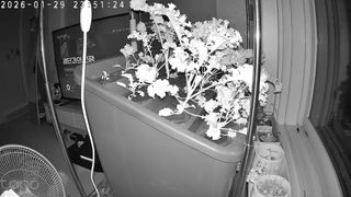 정종배님의 기타작물 · 영농일지 작성글 사진