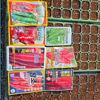 곽희동님의 고추 · 영농일지 작성글 사진