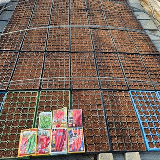 곽희동님의 고추 · 영농일지 작성글 사진