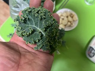 정종배님의 기타작물 · 영농일지 작성글 사진