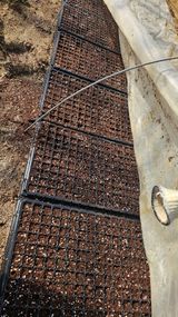 팜모닝 파·영농일지 게시글 이미지