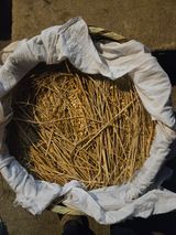 팜모닝 기타작물·영농일지 게시글 이미지