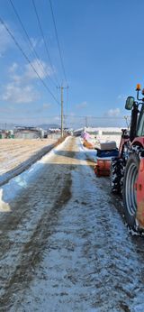 팜모닝 기타작물·영농일지 게시글 이미지