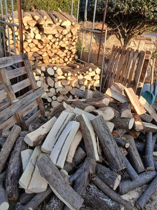 최유순님의 배 · 영농일지 작성글 사진