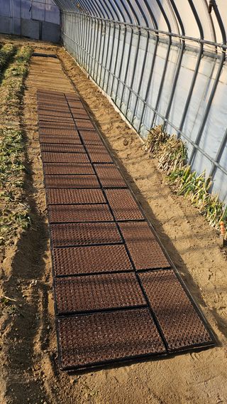 김남근님의 파 · 영농일지 작성글 사진