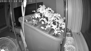 정종배님의 기타작물 · 영농일지 작성글 사진