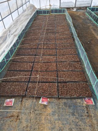 남기탁 님의 고추 · 영농일지 작성글 사진