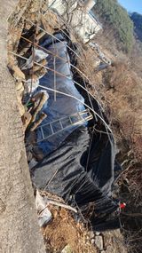 팜모닝 기타작물·영농일지 게시글 이미지