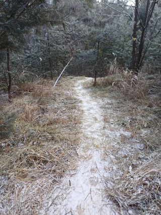 전원수님의 기타작물 · 영농일지 작성글 사진
