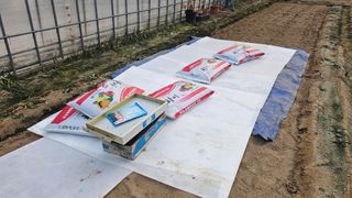 김남근님의 파 · 영농일지 작성글 사진