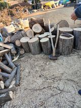 최유순님의 작성글 사진