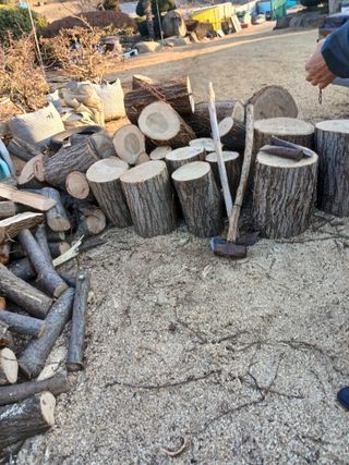 최유순님의 배 · 영농일지 작성글 사진