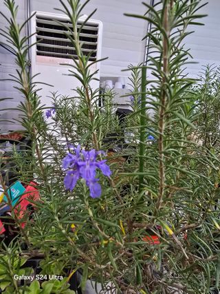 김종협님의 기타작물 · 영농일지 작성글 사진