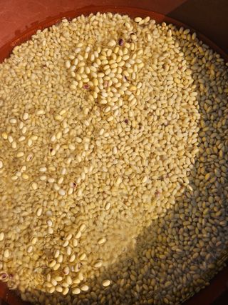 고사리.밤.육쪽마늘님의 기타작물 · 영농일지 작성글 사진