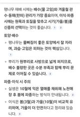 팜모닝 기타작물·영농일지 게시글 이미지