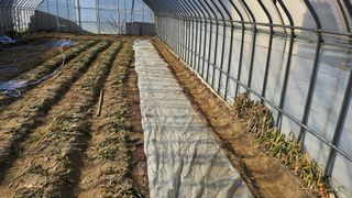 김남근님의 파 · 영농일지 작성글 사진