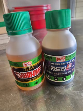 배종규님의 딸기 · 영농일지 작성글 사진