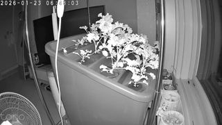 정종배님의 기타작물 · 영농일지 작성글 사진