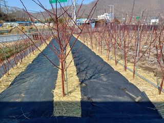 최정윤님의 작성글 사진