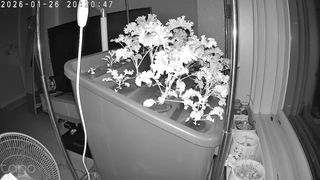 정종배님의 기타작물 · 영농일지 작성글 사진