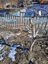 김용대님의 작성글 사진