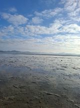 팜모닝 기타작물·영농일지 게시글 이미지