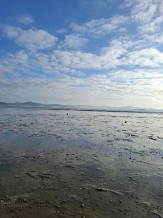 결단이님의 기타작물 · 영농일지 작성글 사진