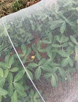 팜모닝 콩·영농일지 게시글 이미지