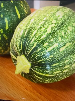 송강섭님의 기타작물 · 영농일지 작성글 사진