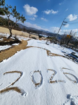 최상길 님의 기타작물 · 영농일지 작성글 사진