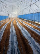 팜모닝 기타작물·영농일지 게시글 이미지