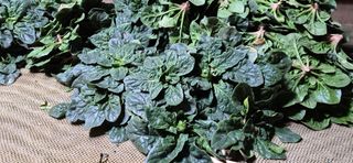 김진순님의 작성글 사진