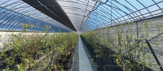 류근택님의 작성글 사진