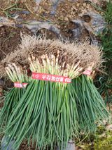 김저팔계님의 작성글 사진