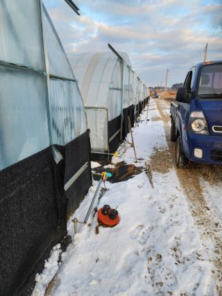 김저팔계님의 파 · 영농일지 작성글 사진