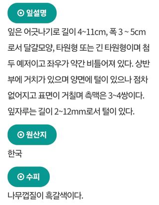 (팽나무*공주)님의 기타작물 · 영농일지 작성글 사진