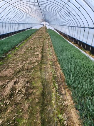 김저팔계님의 작성글 사진