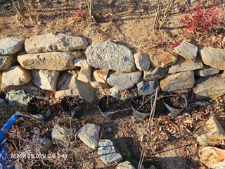 하여튼님의 기타작물 · 영농일지 작성글 사진