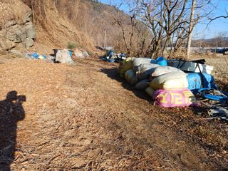 전원수님의 기타작물 · 영농일지 작성글 사진